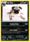 Mr. Pug