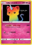 salty cat LV