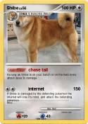 Shibe