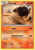 baby pug