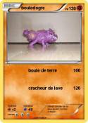 bouledogre