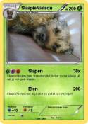 SlaapieNielson