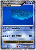 Requin Balaine