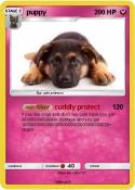 puppy