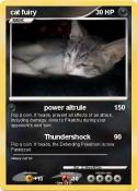 cat fuiry