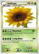 Sunflower
