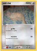 petit chat