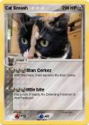 Cat Smash