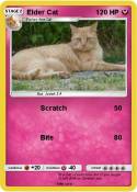 Elder Cat