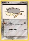 Baker Cat