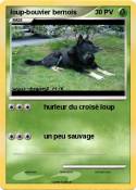 loup-bouvier