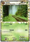forest