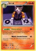 DJ cat