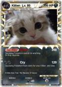 Kitten Lv. 80