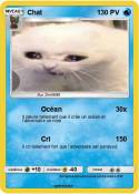 Chat