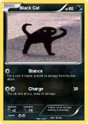Black Cat