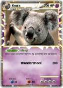 Koala