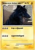 beauceron timbe