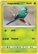 mulga parrot