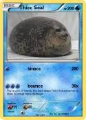 Thicc Seal