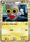 MAGNEZONE