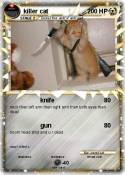 killer cat