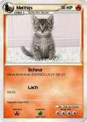 Matthijs