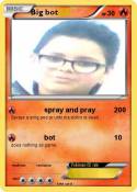 Big bot