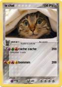 le chat