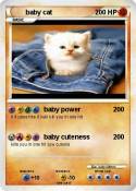 baby cat