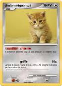 chaton mignon