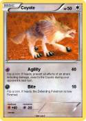 Coyote