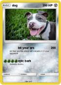 dog
