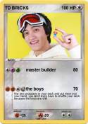 TD BRICKS