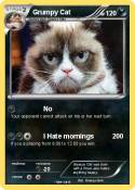 Grumpy Cat