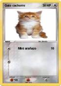Gato cachorro