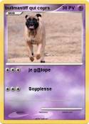 bullmastiff