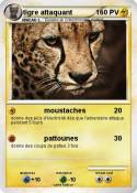 tigre attaquant
