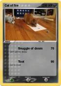 Cat of fire