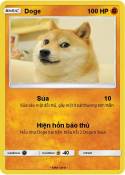 Doge