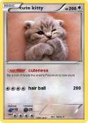 cute kitty