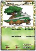 Torterra