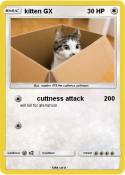 kitten GX