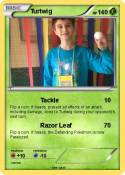 Turtwig
