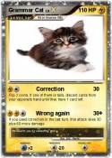 Grammar Cat