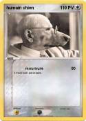 humain chien
