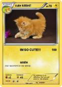 cute kittin!!