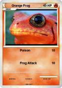Orange Frog