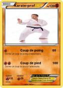 Karate-prof