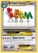 TEAM TEAM